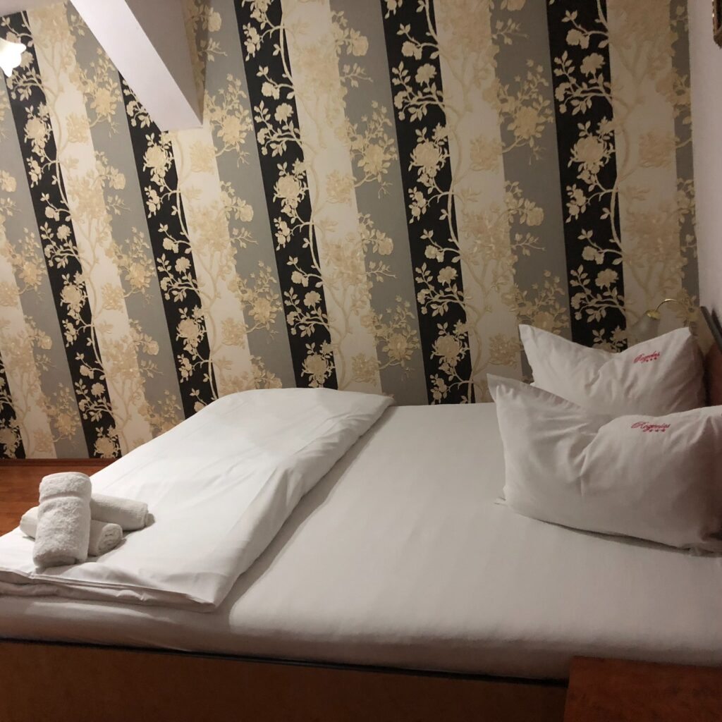 Pat matrimoniala,camera cu dus
